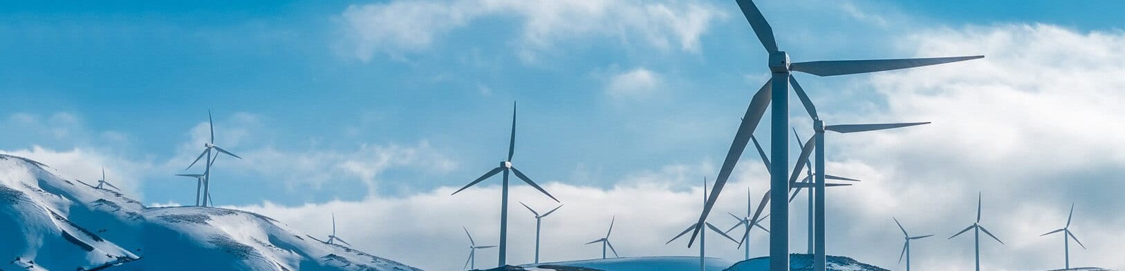 Jak działa program partnerski kasyna online?